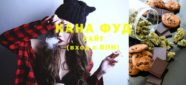 мдпв Осташков