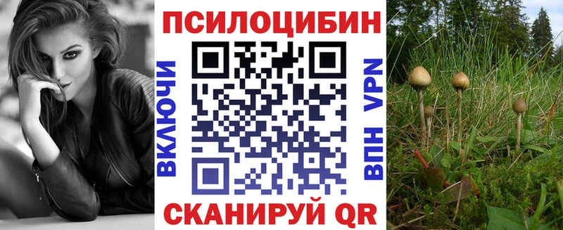 сколько стоит  Ипатово  Псилоцибиновые грибы прущие грибы 